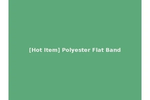 [Hot Item] Polyester Flat Band
