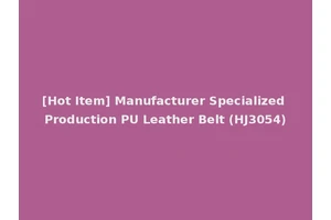 [Hot Item] Manufacturer Specialized Production PU Leather Belt (HJ3054)