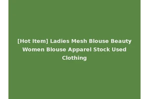 [Hot Item] Ladies Mesh Blouse Beauty Women Blouse Apparel Stock Used Clothing