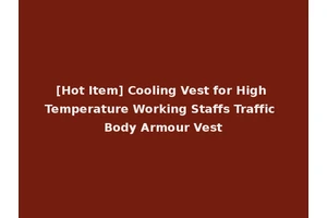 [Hot Item] Cooling Vest for High Temperature Working Staffs Traffic Body Armour Vest