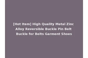 [Hot Item] High Quality Metal Zinc Alloy Reversible Buckle Pin Belt Buckle for Belts Garment Shoes