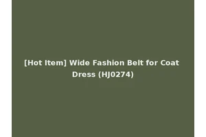 [Hot Item] Wide Fashion Belt for Coat Dress (HJ0274)