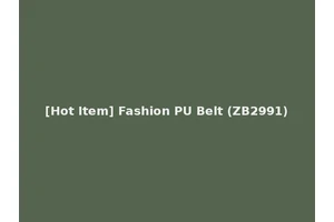 [Hot Item] Fashion PU Belt (ZB2991)