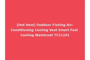 [Hot Item] Outdoor Fishing Air-Conditioning Cooling Vest Smart Fast Cooling Waistcoat TC11101