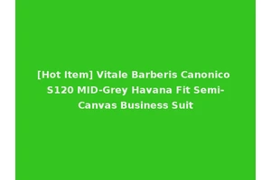 [Hot Item] Vitale Barberis Canonico S120 MID-Grey Havana Fit Semi-Canvas Business Suit