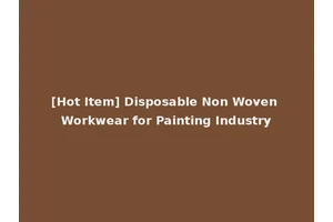 [Hot Item] Disposable Non Woven Workwear for Painting Industry