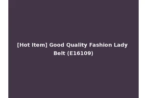 [Hot Item] Good Quality Fashion Lady Belt (E16109)