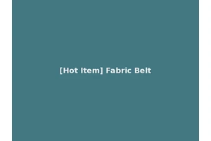 [Hot Item] Fabric Belt