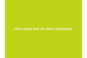 [Hot Item] Kid PU Belt (ZKB2963)