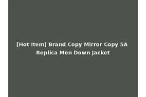 [Hot Item] Brand Copy Mirror Copy 5A Replica Men Down Jacket