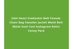 [Hot Item] Snakeskin Belt Female Chain Bag Sweater Jacket Waist Belt Waist Seal Cool Instagram Retro Fanny Pack