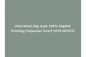 [Hot Item] Big Sale 100% Digital Printing Polyester Scarf (HYS-AF037)