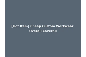 [Hot Item] Cheap Custom Workwear Overall Coverall