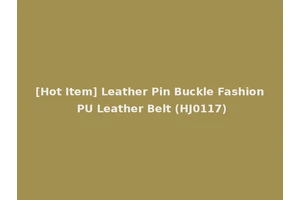 [Hot Item] Leather Pin Buckle Fashion PU Leather Belt (HJ0117)