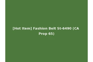 [Hot Item] Fashion Belt St-6490 (CA Prop 65)