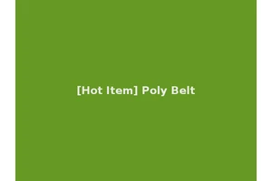 [Hot Item] Poly Belt
