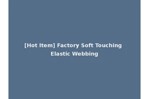 [Hot Item] Factory Soft Touching Elastic Webbing