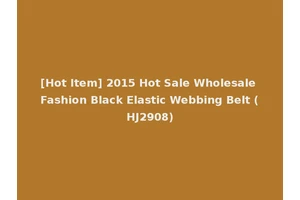 [Hot Item] 2015 Hot Sale Wholesale Fashion Black Elastic Webbing Belt (HJ2908)