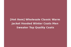 [Hot Item] Wholesale Classic Warm Jacket Hooded Winter Coats Men Sweater Top Quality Coats