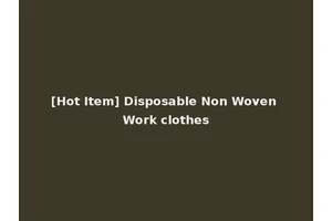 [Hot Item] Disposable Non Woven Work clothes
