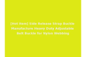 [Hot Item] Side Release Strap Buckle Manufacture Heavy Duty Adjustable Belt Buckle for Nylon Webbing