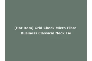 [Hot Item] Grid Check Micro Fibre Business Classical Neck Tie