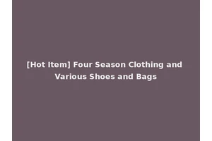 [Hot Item] Four Season Clothing and Various Shoes and Bags