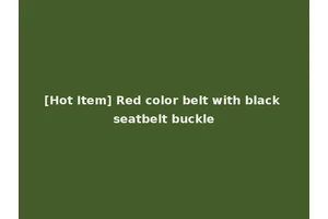 [Hot Item] Red color belt with black seatbelt buckle