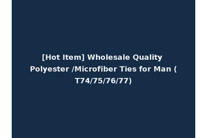[Hot Item] Wholesale Quality Polyester /Microfiber Ties for Man (T74/75/76/77)