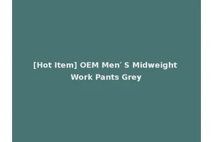 [Hot Item] OEM Men′ S Midweight Work Pants Grey