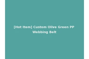 [Hot Item] Custom Olive Green PP Webbing Belt