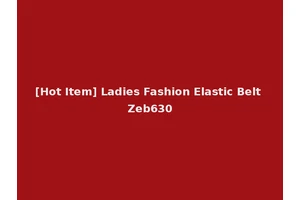 [Hot Item] Ladies Fashion Elastic Belt Zeb630