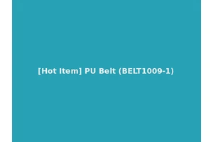 [Hot Item] PU Belt (BELT1009-1)
