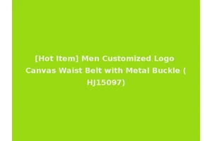 [Hot Item] Men Customized Logo Canvas Waist Belt with Metal Buckle (HJ15097)