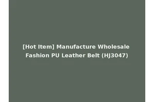 [Hot Item] Manufacture Wholesale Fashion PU Leather Belt (HJ3047)
