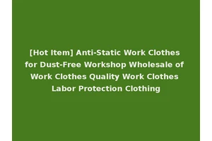 [Hot Item] Anti-Static Work Clothes for Dust-Free Workshop Wholesale of Work Clothes Quality Work Clothes Labor Protection Clothing