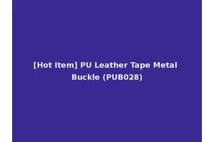 [Hot Item] PU Leather Tape Metal Buckle (PUB028)
