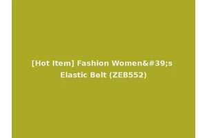 [Hot Item] Fashion Women's Elastic Belt (ZEB552)