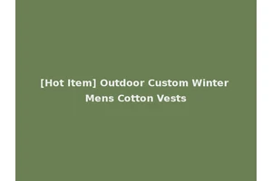 [Hot Item] Outdoor Custom Winter Mens Cotton Vests