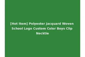 [Hot Item] Polyester Jacquard Woven School Logo Custom Color Boys Clip Necktie