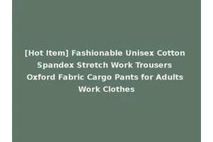 [Hot Item] Fashionable Unisex Cotton Spandex Stretch Work Trousers Oxford Fabric Cargo Pants for Adults Work Clothes