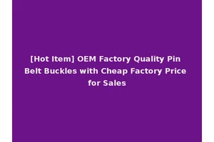 [Hot Item] OEM Factory Quality Pin Belt Buckles with Cheap Factory Price for Sales
