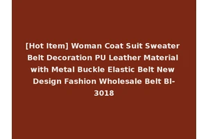 [Hot Item] Woman Coat Suit Sweater Belt Decoration PU Leather Material with Metal Buckle Elastic Belt New Design Fashion Wholesale Belt Bl-3018