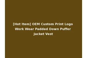 [Hot Item] OEM Custom Print Logo Work Wear Padded Down Puffer Jacket Vest