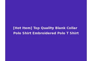 [Hot Item] Top Quality Blank Collar Polo Shirt Embroidered Polo T Shirt