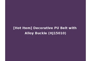 [Hot Item] Decorative PU Belt with Alloy Buckle (HJ15010)