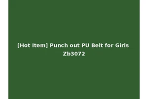[Hot Item] Punch out PU Belt for Girls Zb3072
