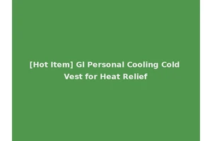 [Hot Item] Gl Personal Cooling Cold Vest for Heat Relief