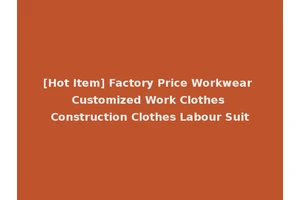 [Hot Item] Factory Price Workwear Customized Work Clothes Construction Clothes Labour Suit