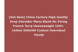 [Hot Item] China Factory High Quality Drop Shoulder Mens Blank No String French Terry Heavyweight 100% Cotton 500GSM Custom Oversized Hoody